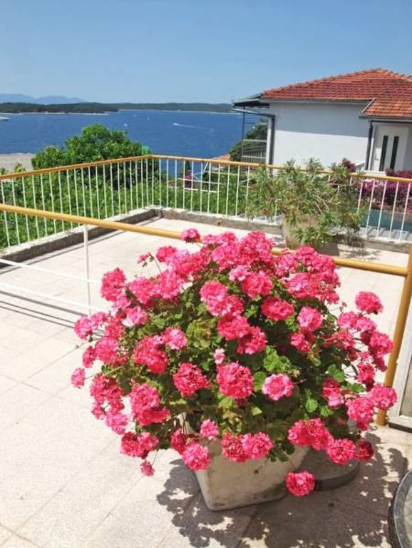 Rooms Vinka Tudor Hvar Town Exterior foto